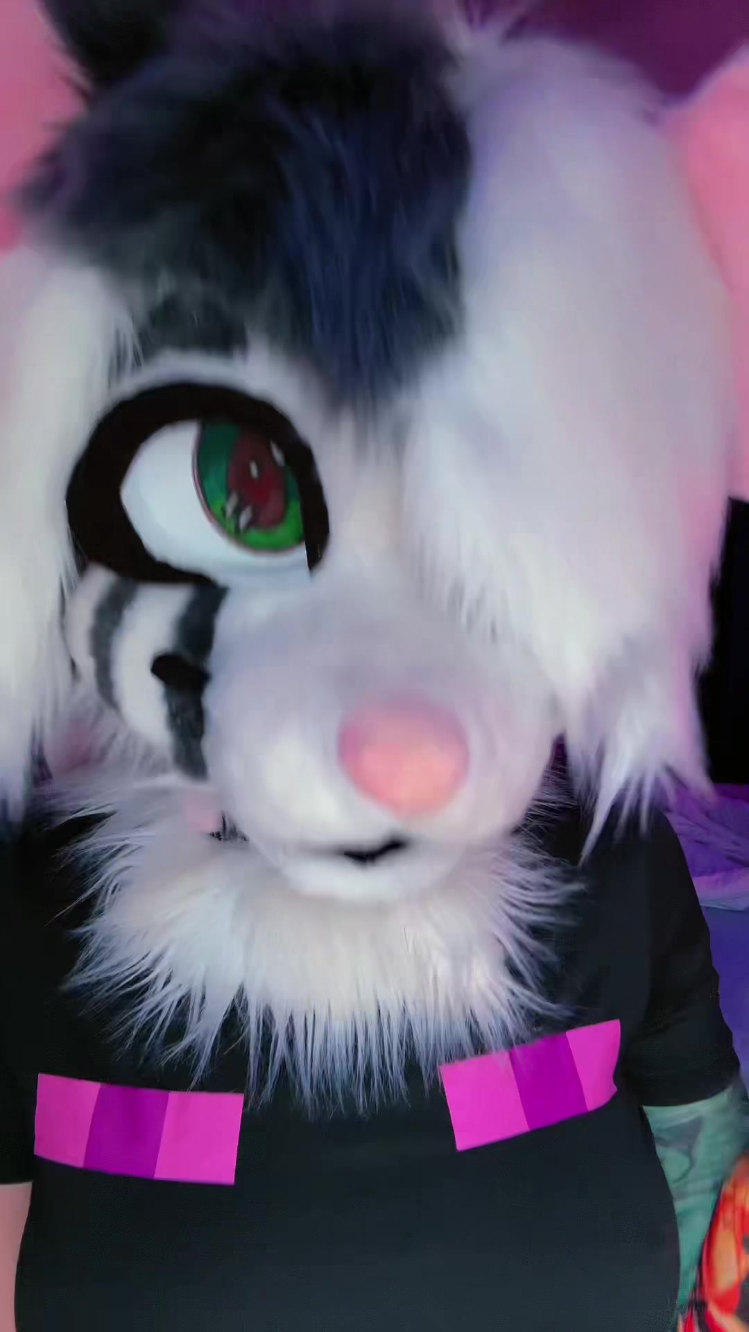 @🎀🦊Foxii🦊🎀