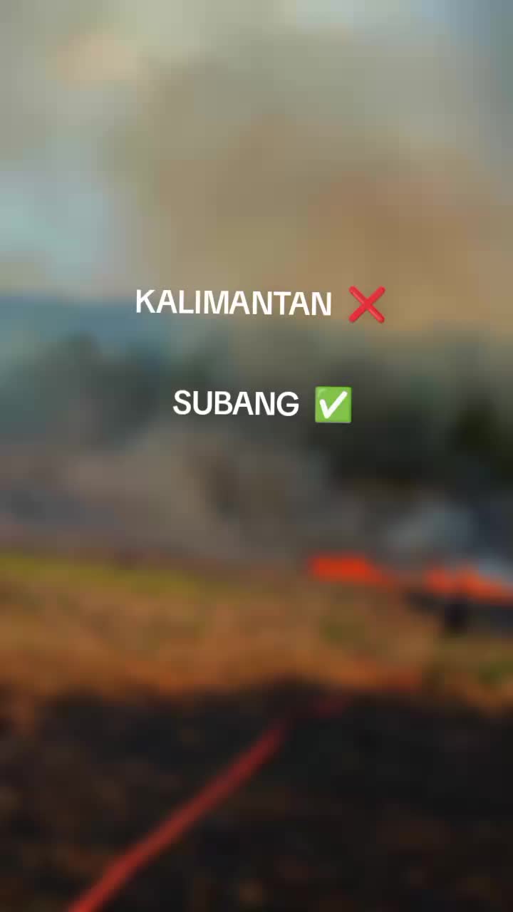@frilandaag