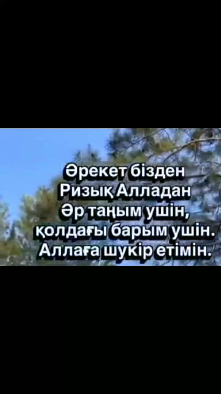 @Тойгул