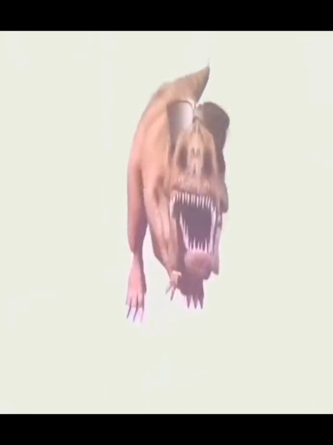 @ambicer98