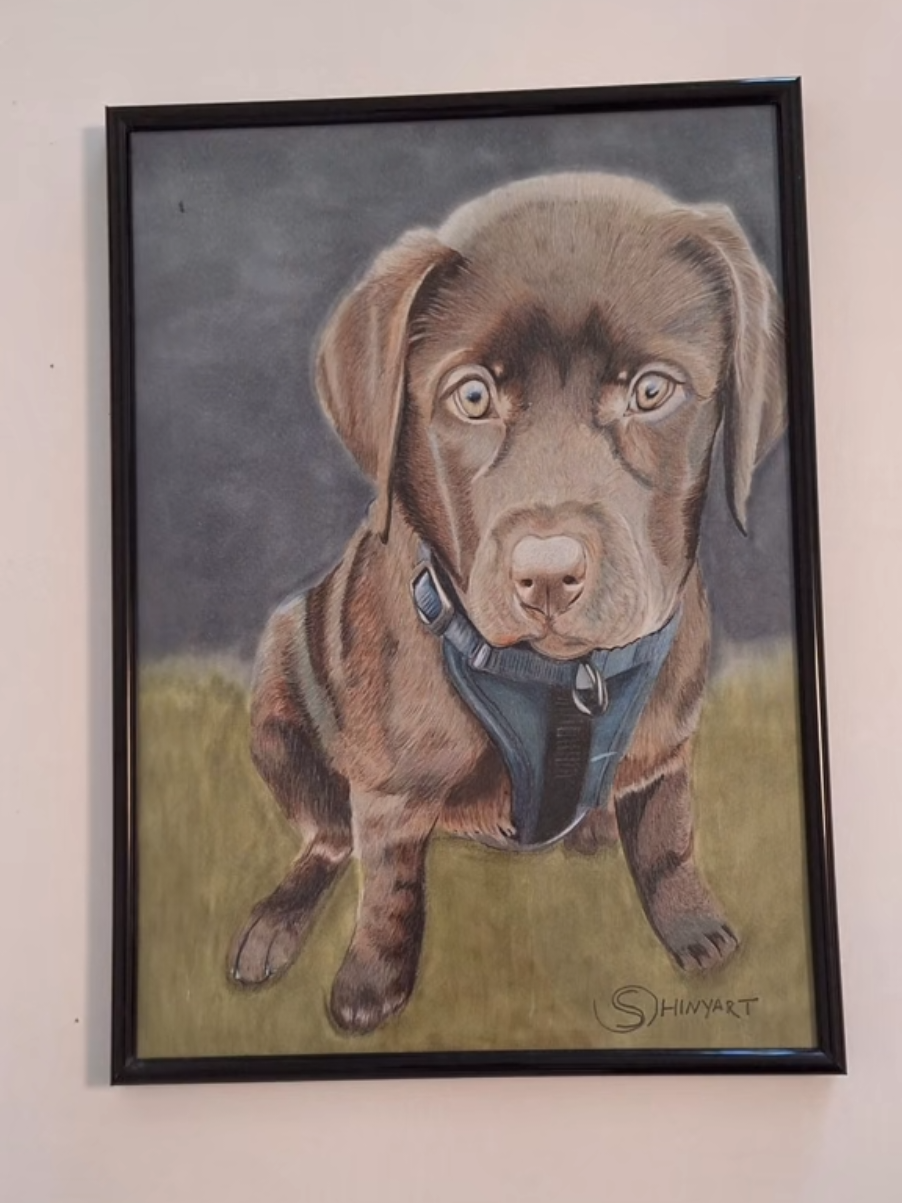 @Shiny Art
