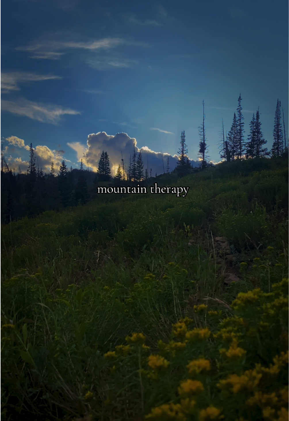 @sadie taylor 🏔️