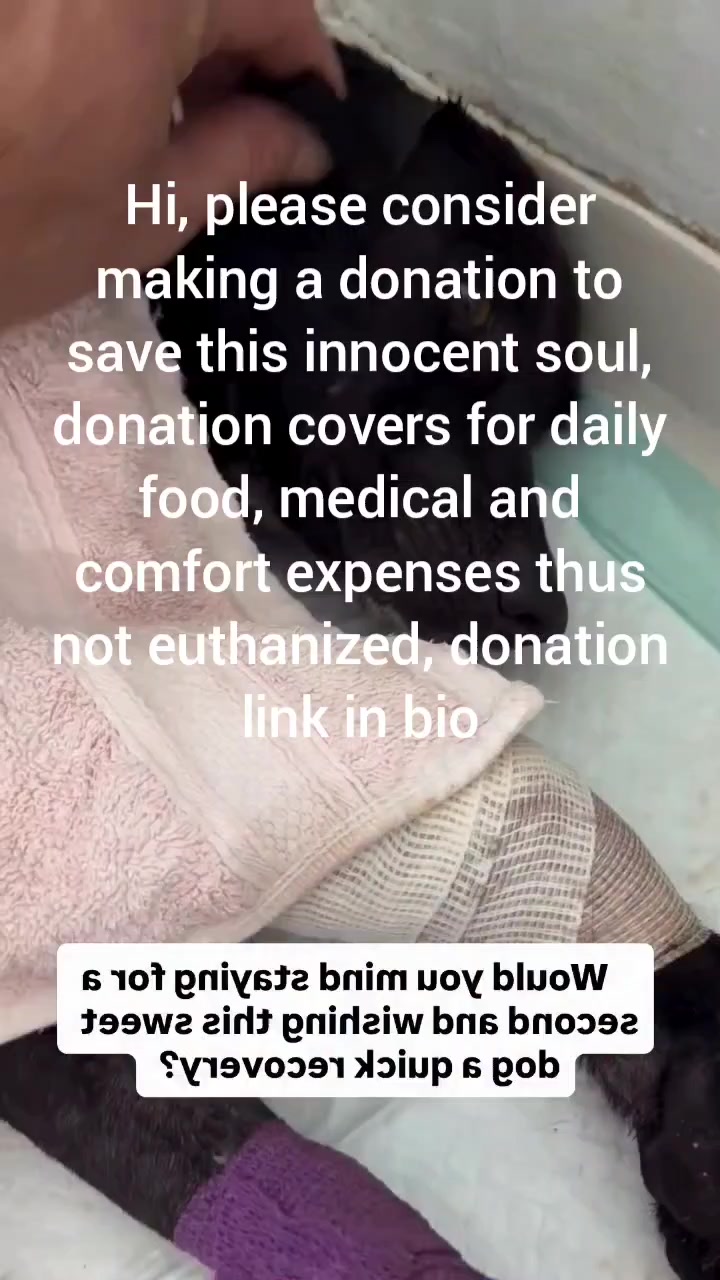 @NewLeashOnLifeRescue