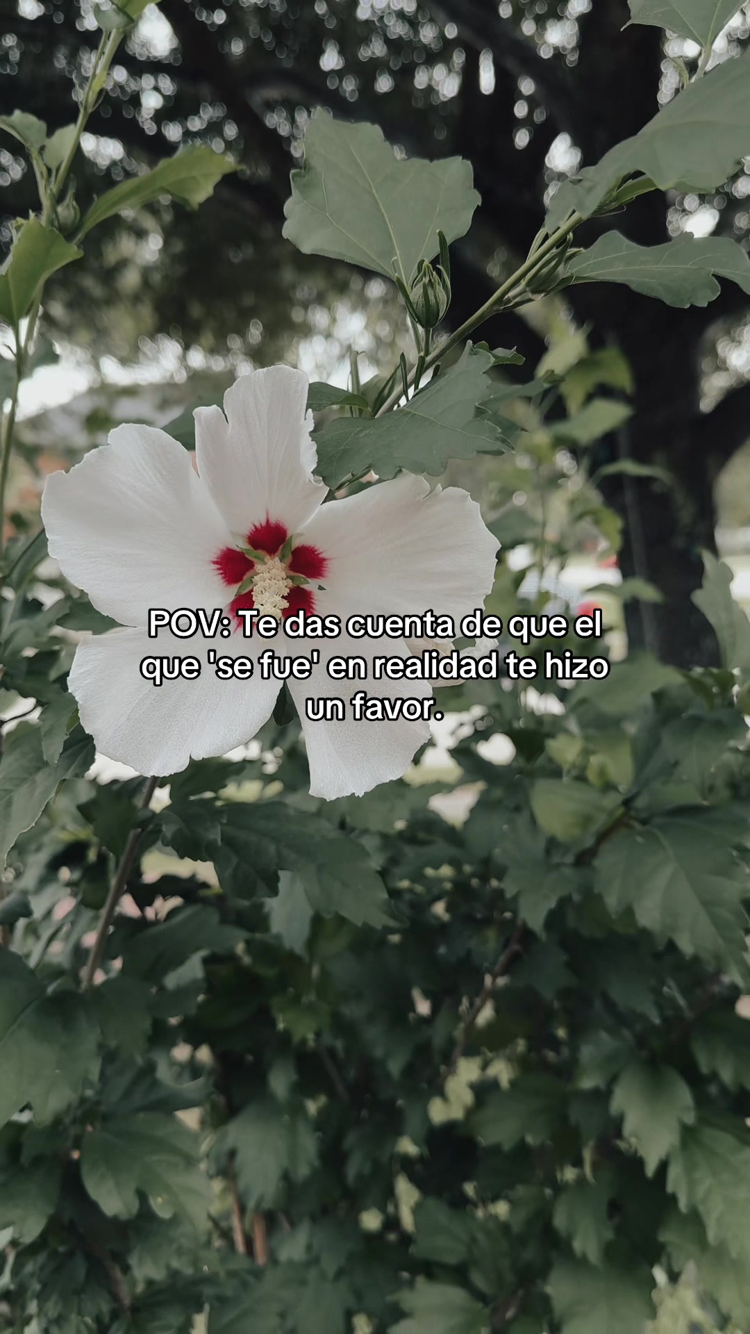 @Gera143