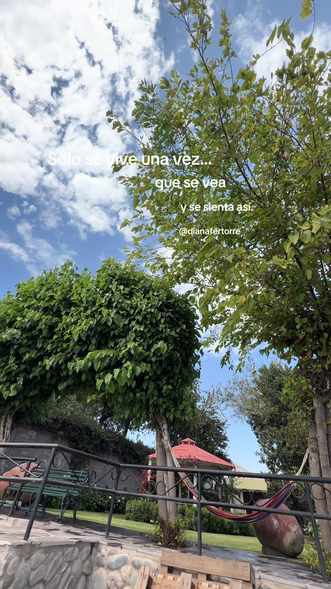 @Diana Fernandez