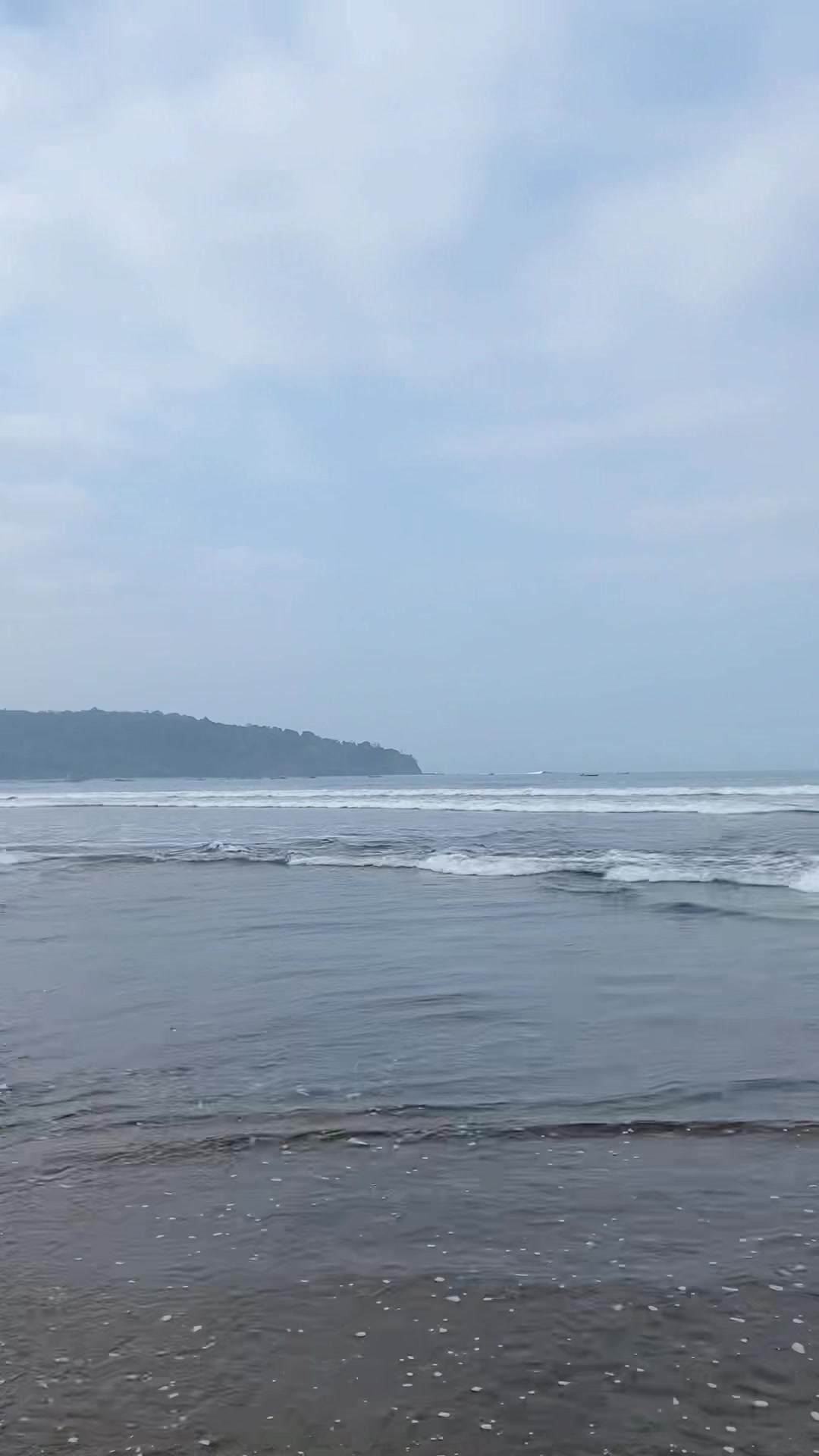 @Pangandaranmarlin_