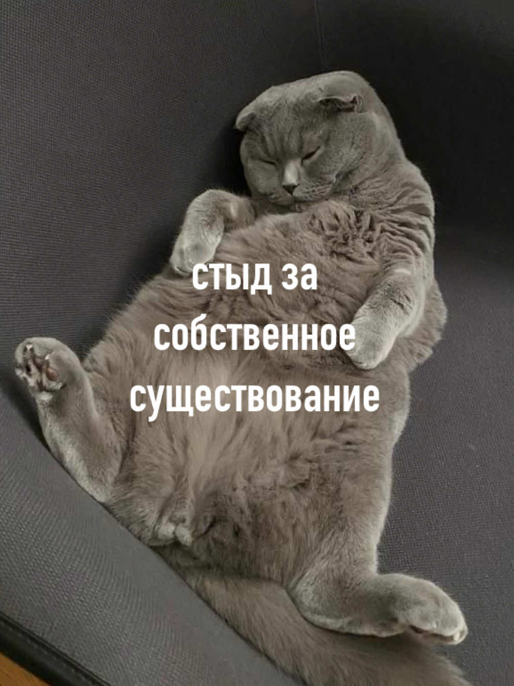 @мамин хep