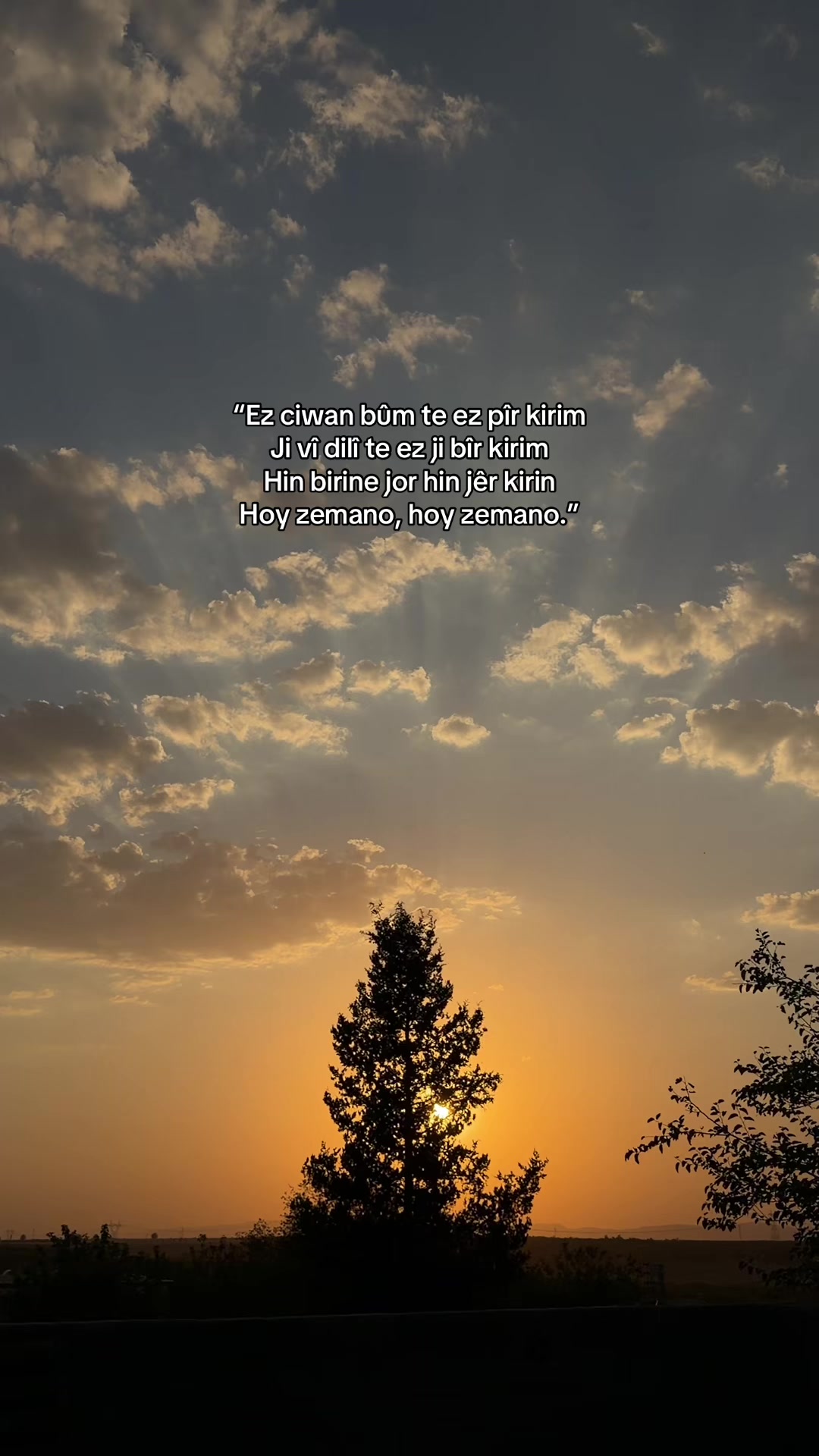 @𝓞𝓷𝓼𝓮𝓴𝓲𝔃𝓪𝓻𝓪𝓵ı𝓴