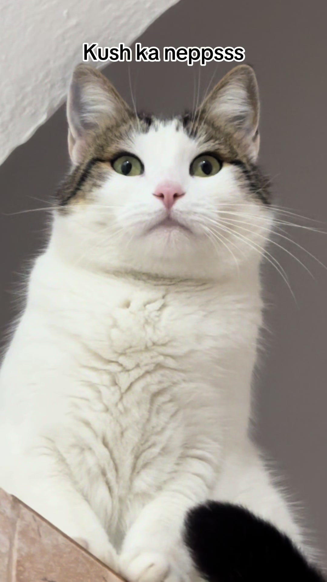 @Kiki