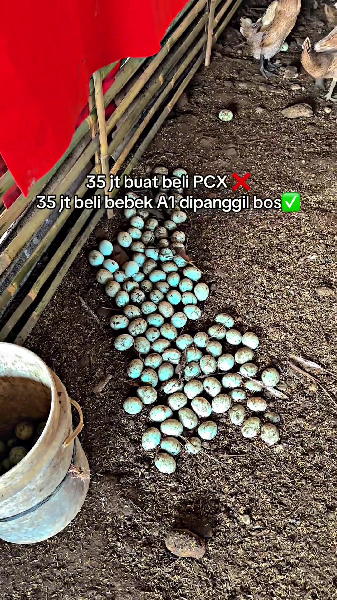 @darufarm