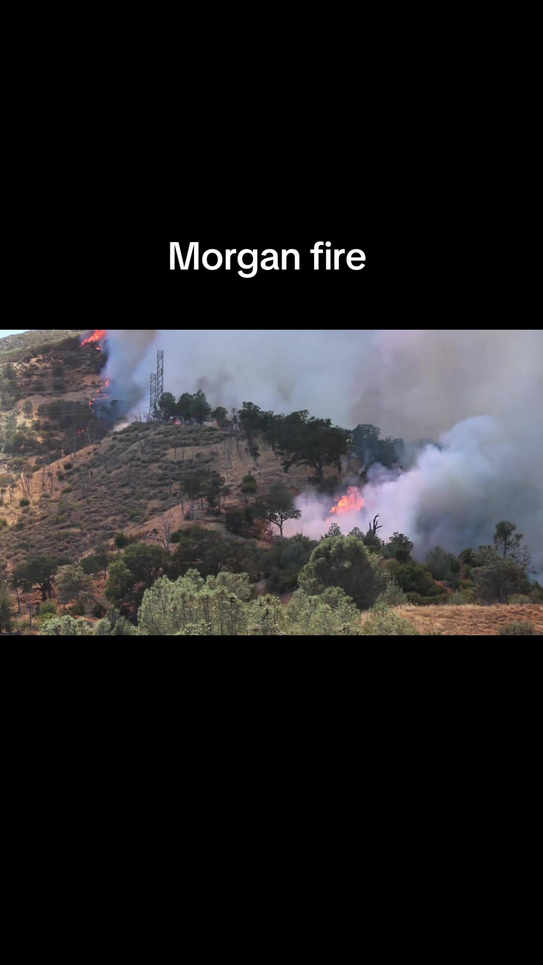 @calfire.hub