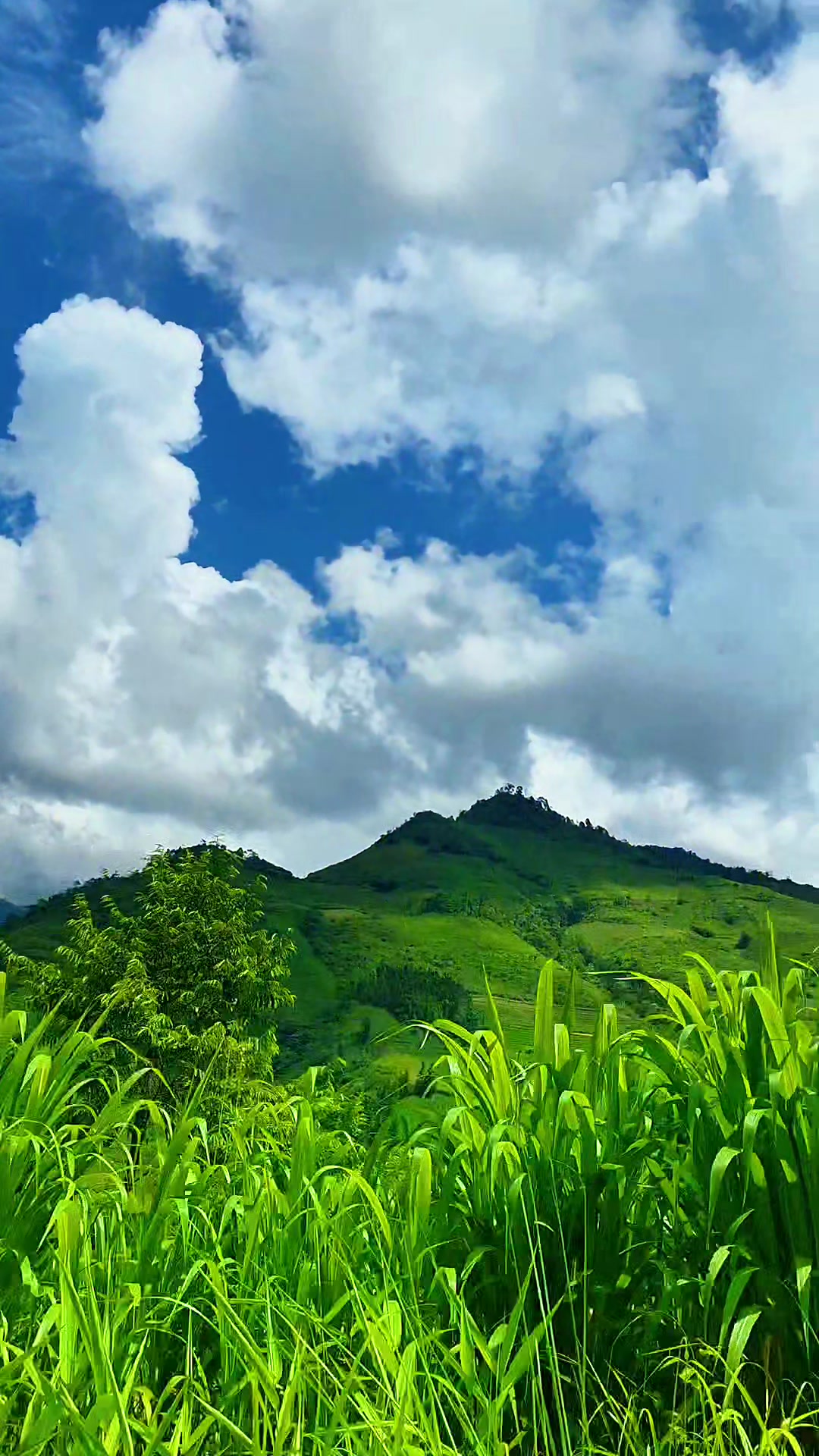 @Hạnh Kẹ