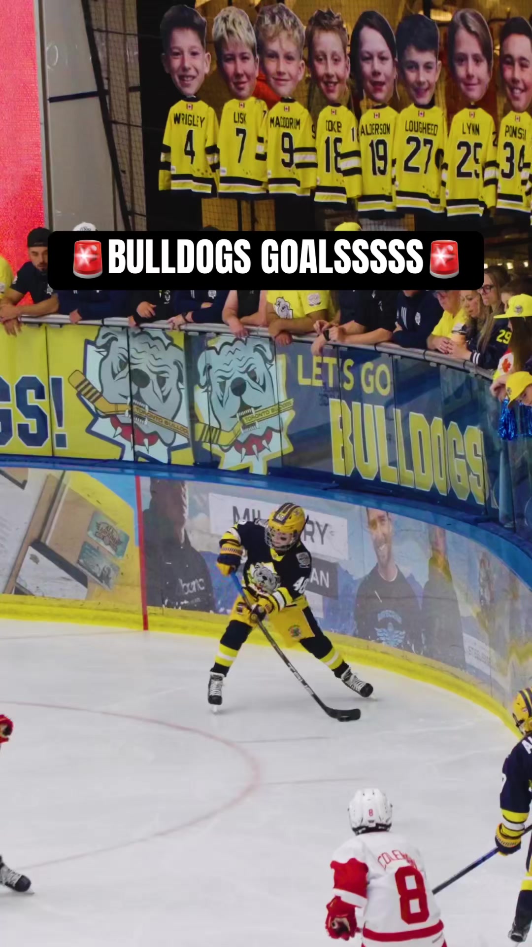 @Brick Hockey