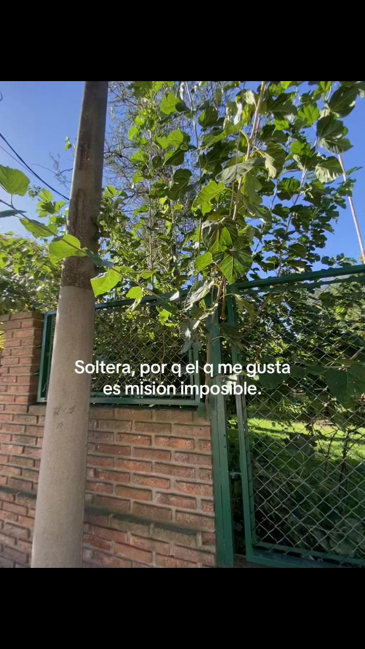 @Un_poco_de_indirectas