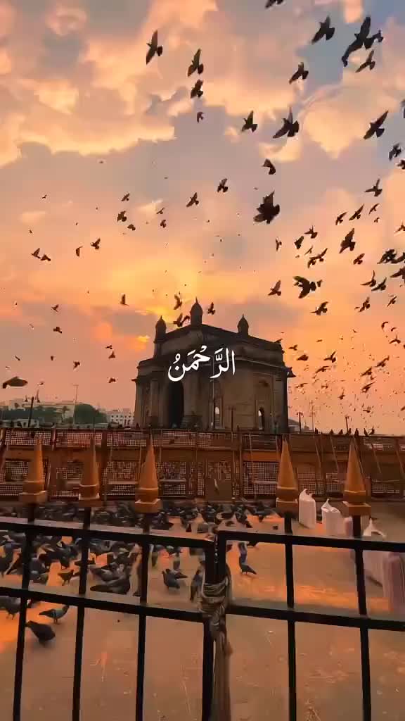 @naveed008