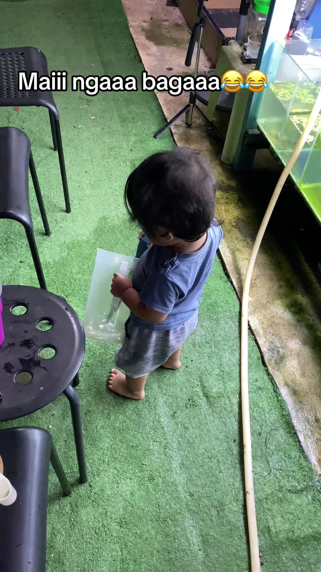 @Wan Guppy House