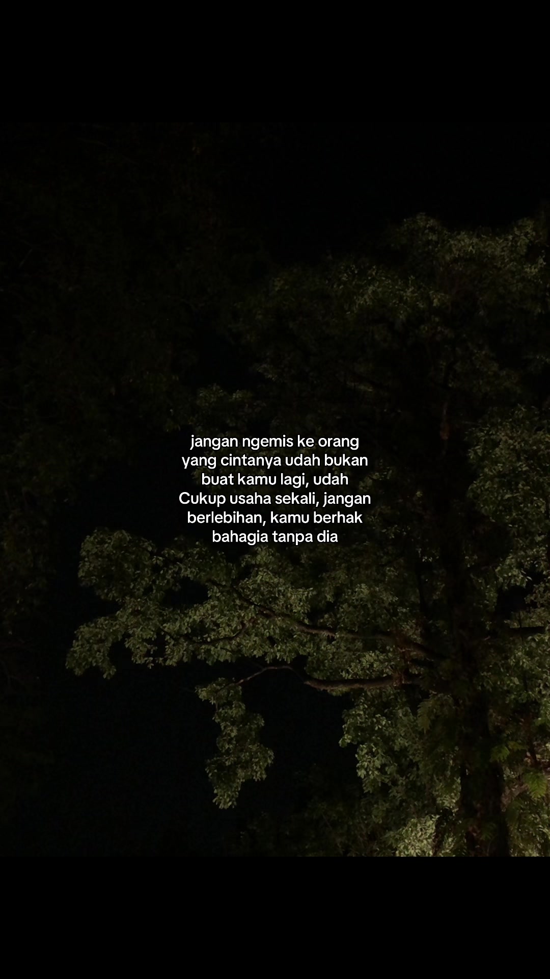 @GALAU;) Arieff