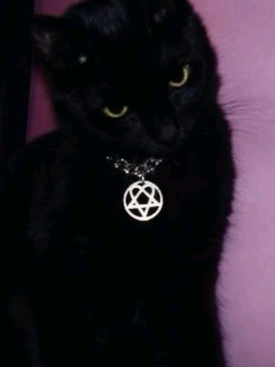 @⦻𝔐.𝟕 𝔐𝔞𝔯𝔦𝔞𝔥 🦇☭.˚🕷𐙚⦻