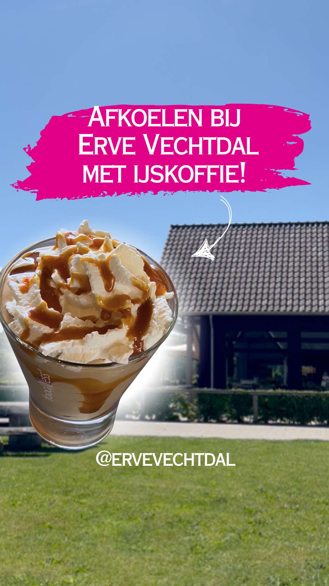 @Erve Vechtdal Koe Safari