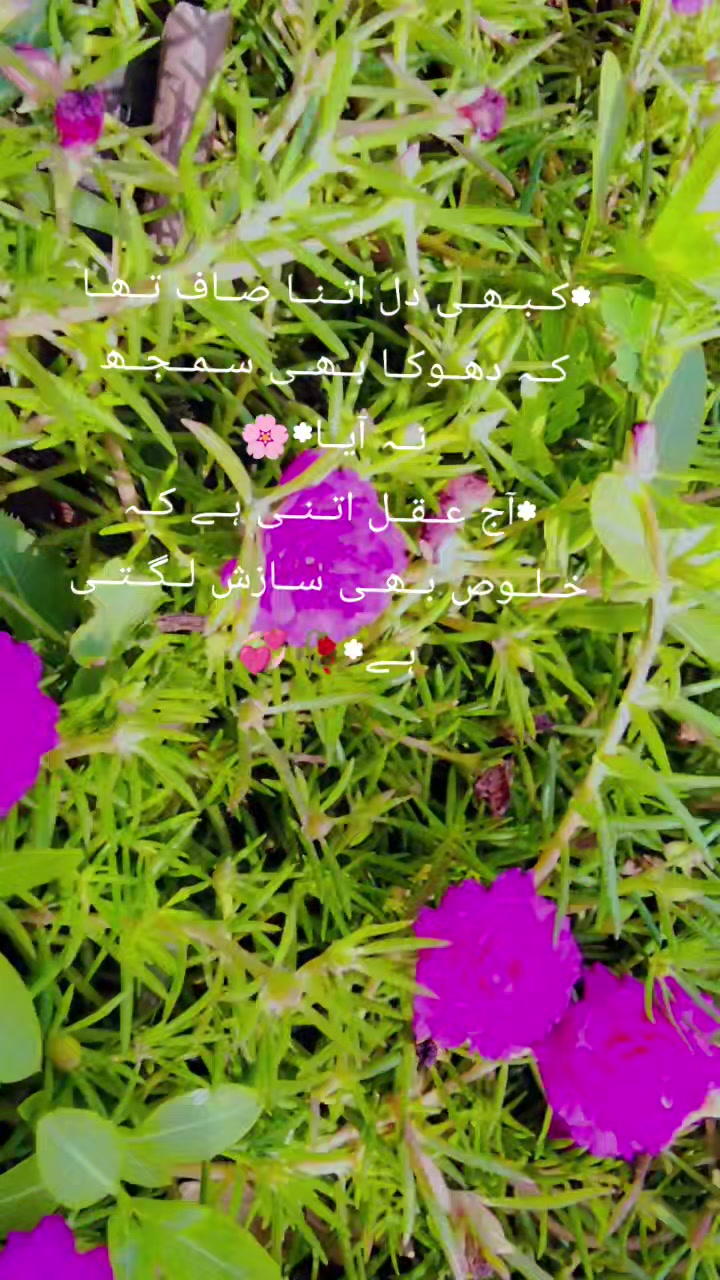 @𓍯˚⋆:ꌗ꓄ꋪꋬꋊꁃꍟꋪ 🖤