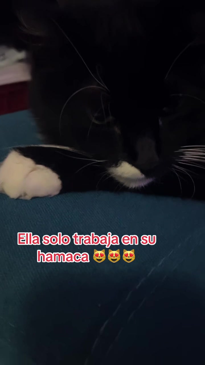 @Carmen Julia Pérez S