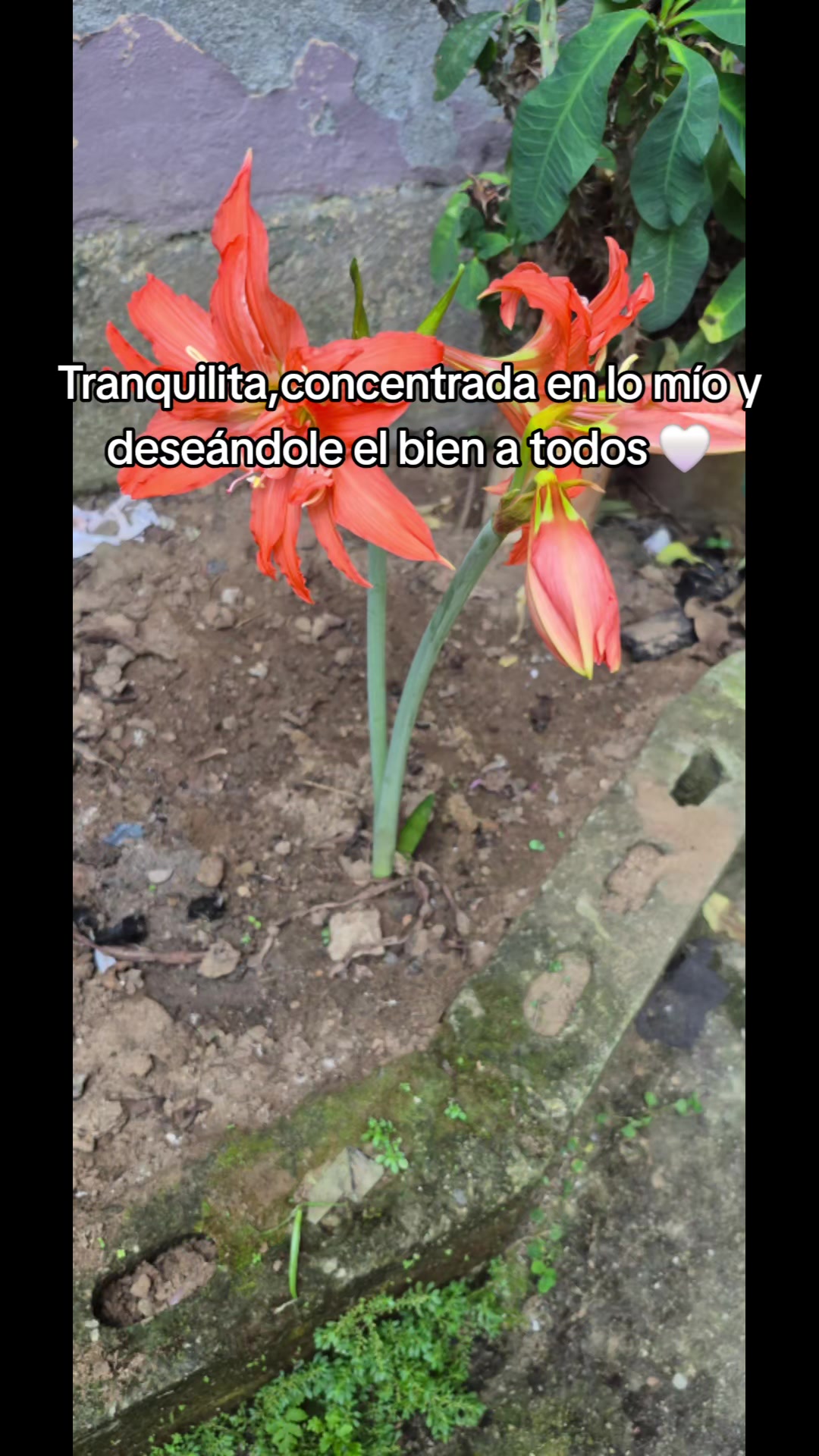 @Maria Diaz