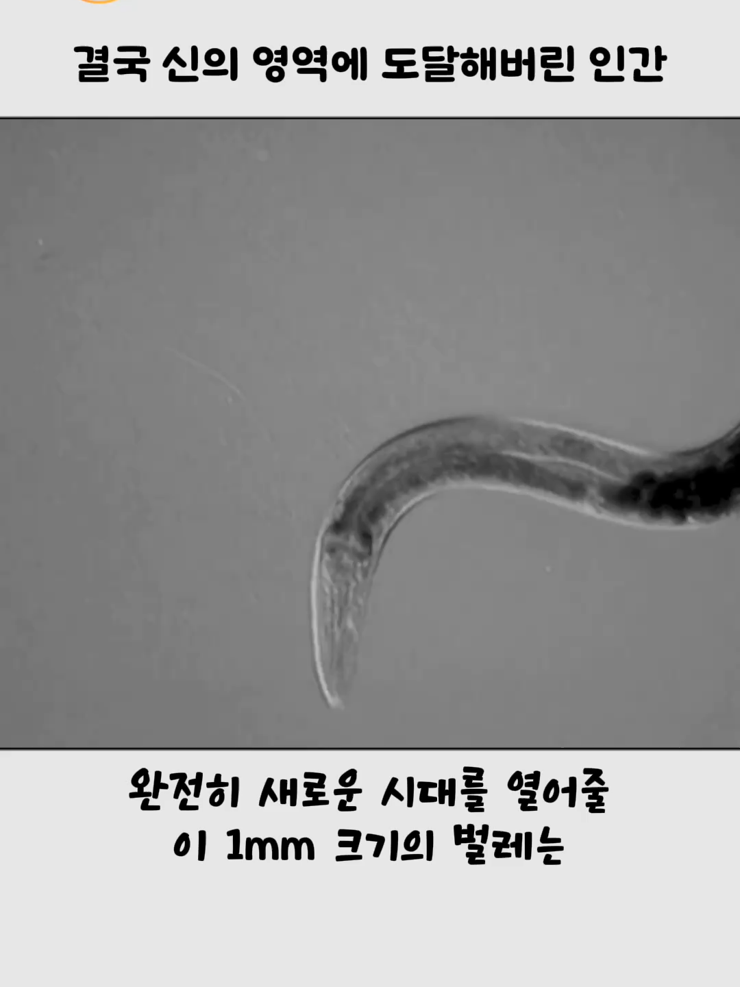 @호랑구팔