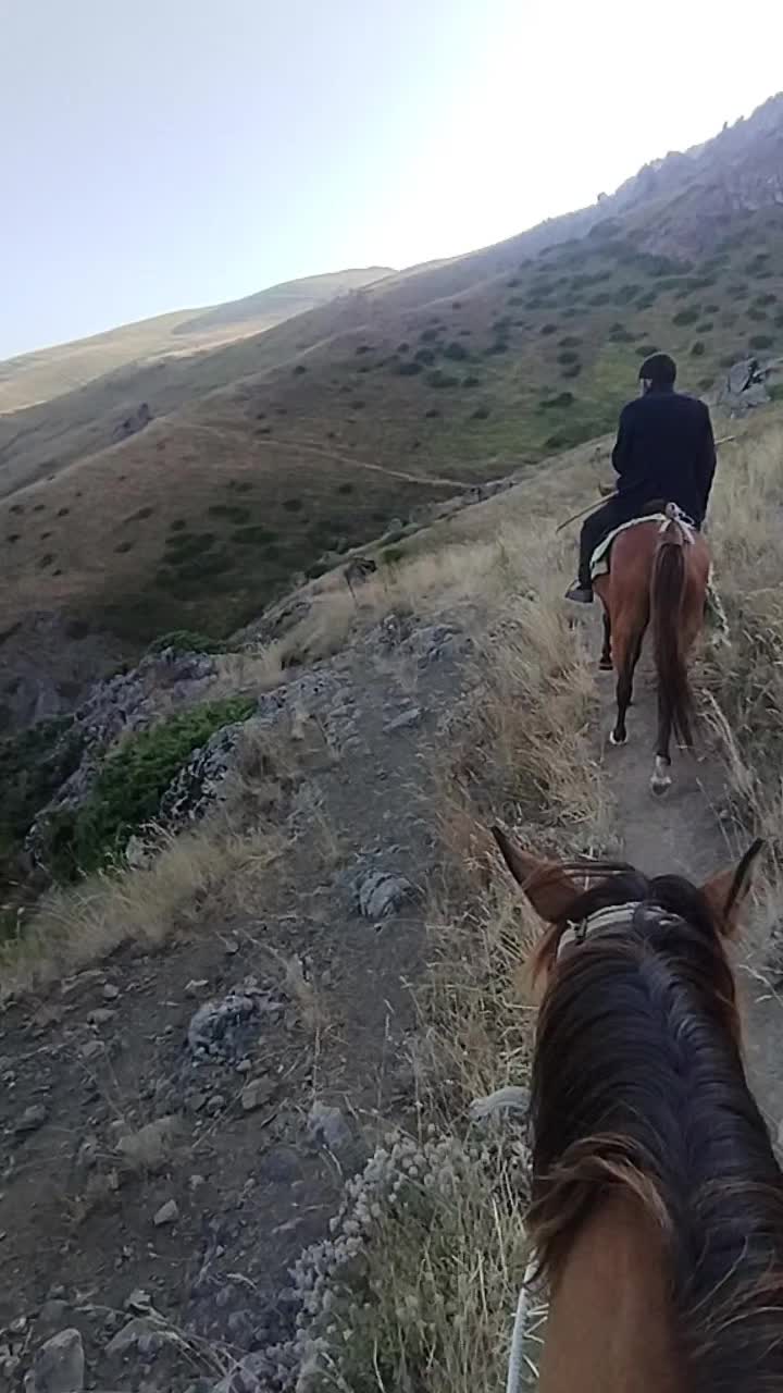 @Elgün Əlizadə