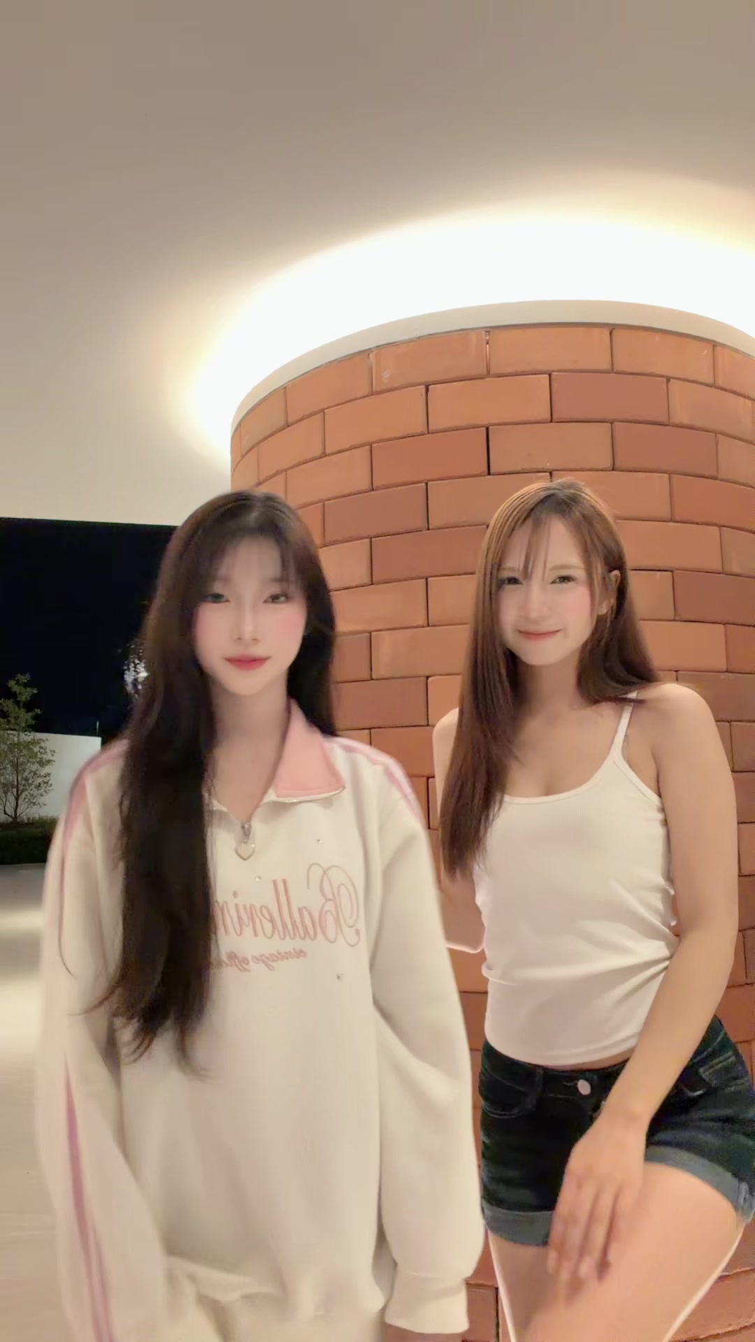 @ใบเฟริน