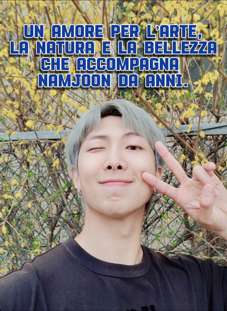 @BTS Army Italia Fan