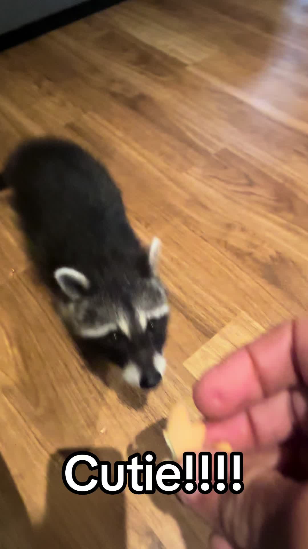 @ittybittyfarm1