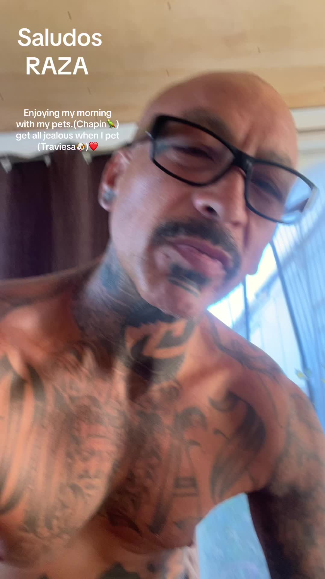 @chinoblue😎