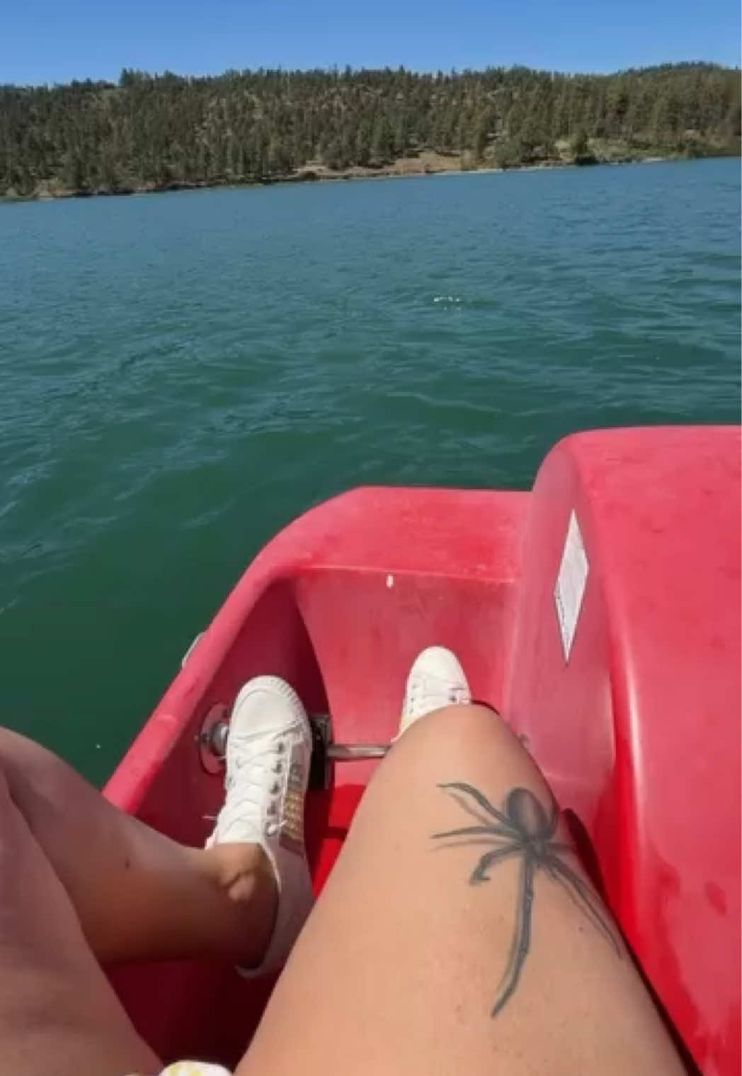 @quidprohoe