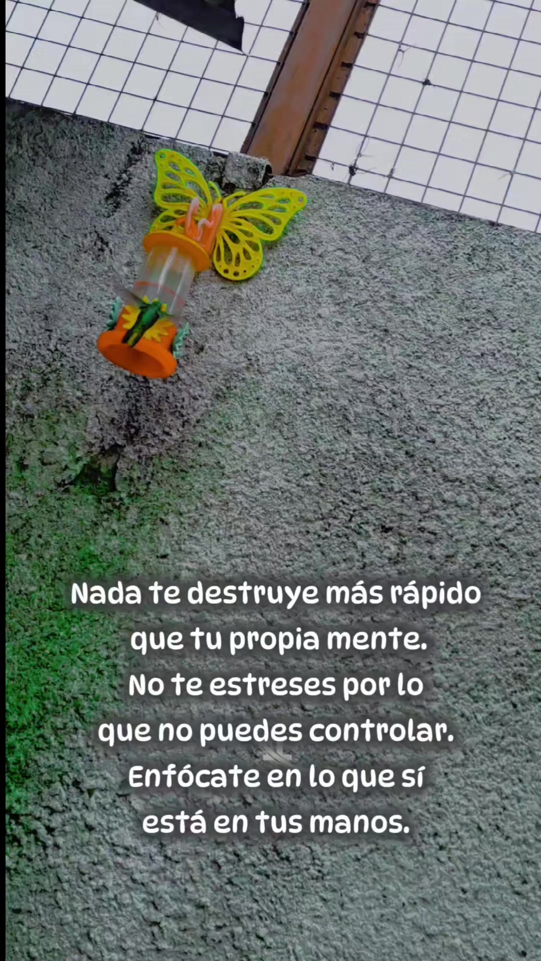 @Martucha