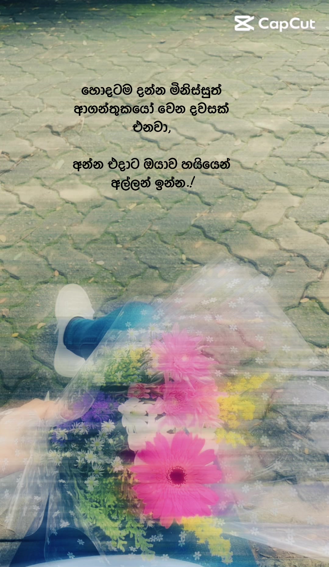 @Nihara Rajapaksha