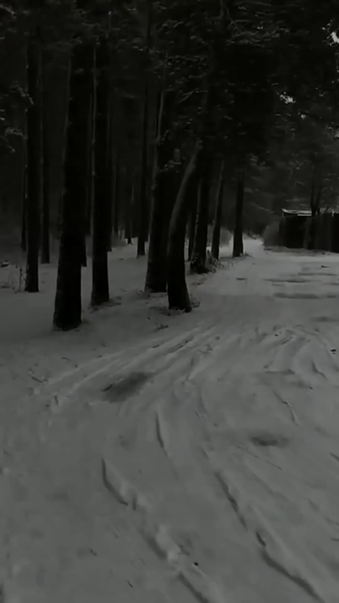 @hefxtom24433464