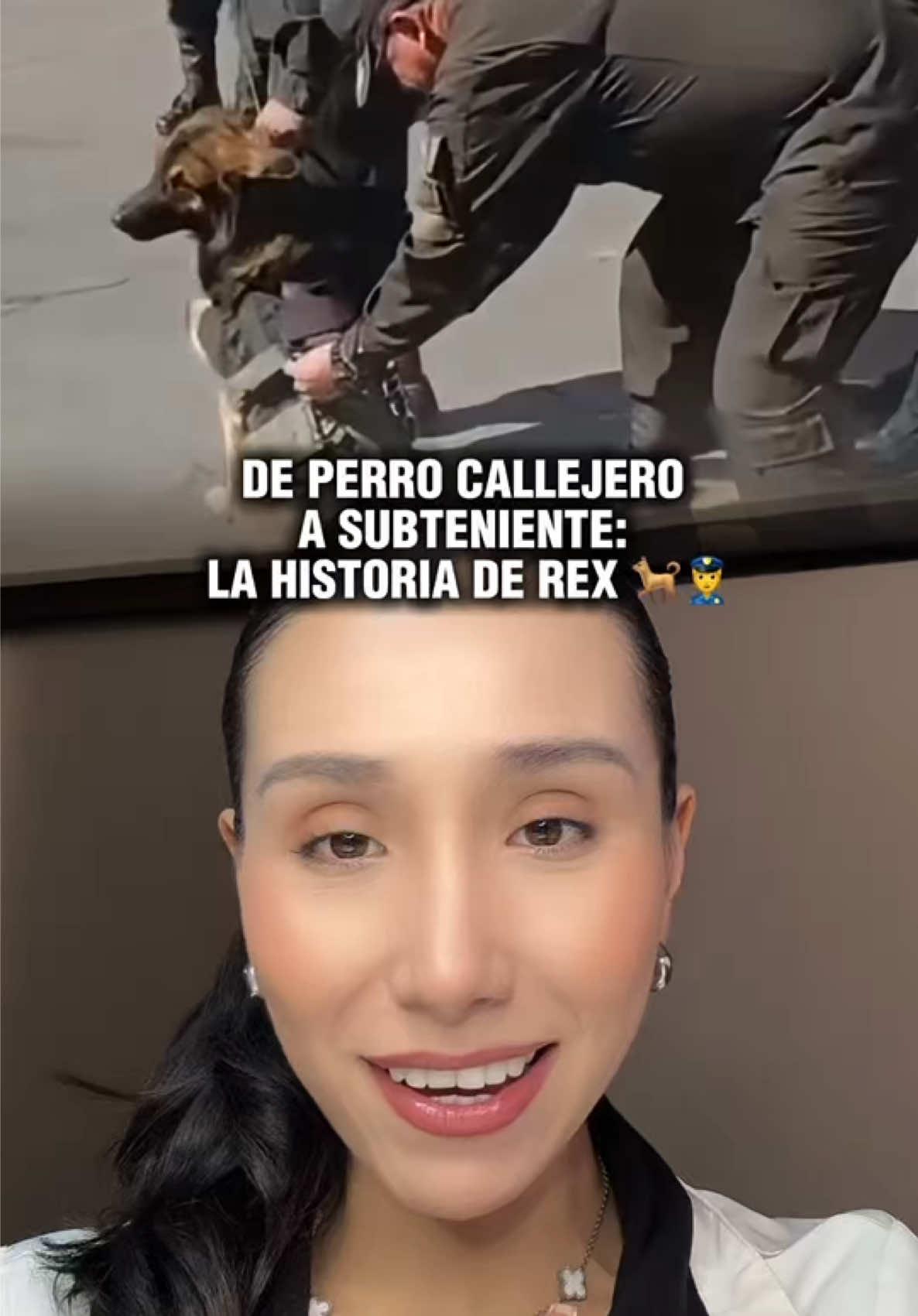 @Sabrina Cordero Villarroel