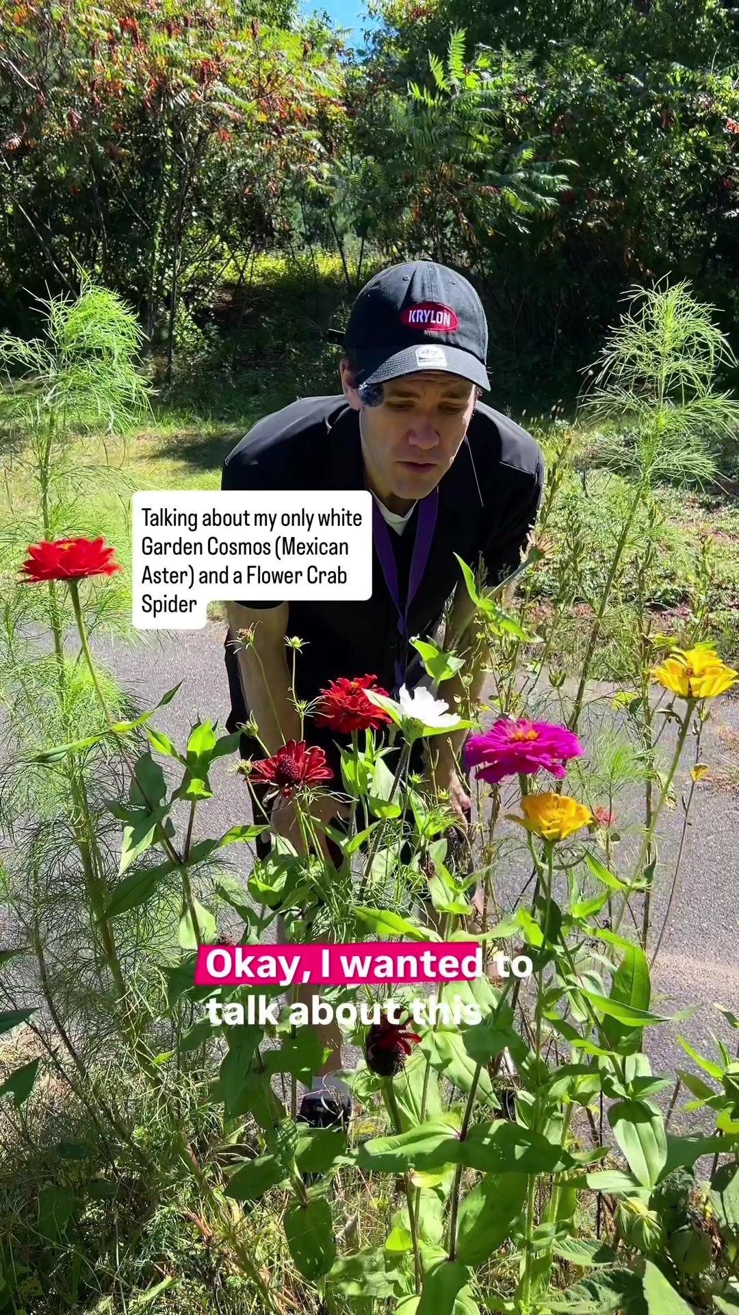 @RJ | Artist