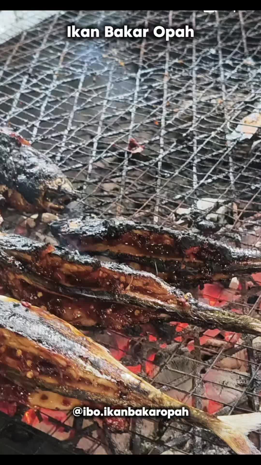 @Ikan Bakar Opah (IBO)
