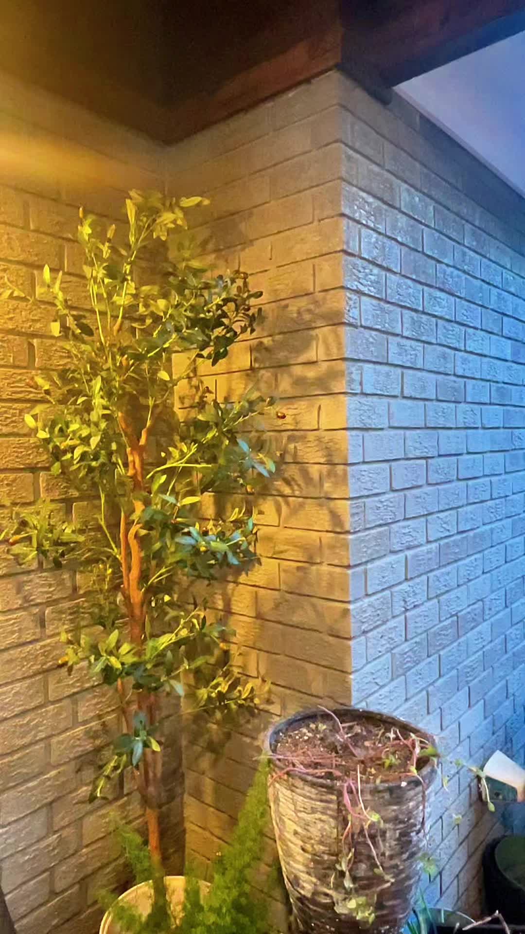 @Kristen D