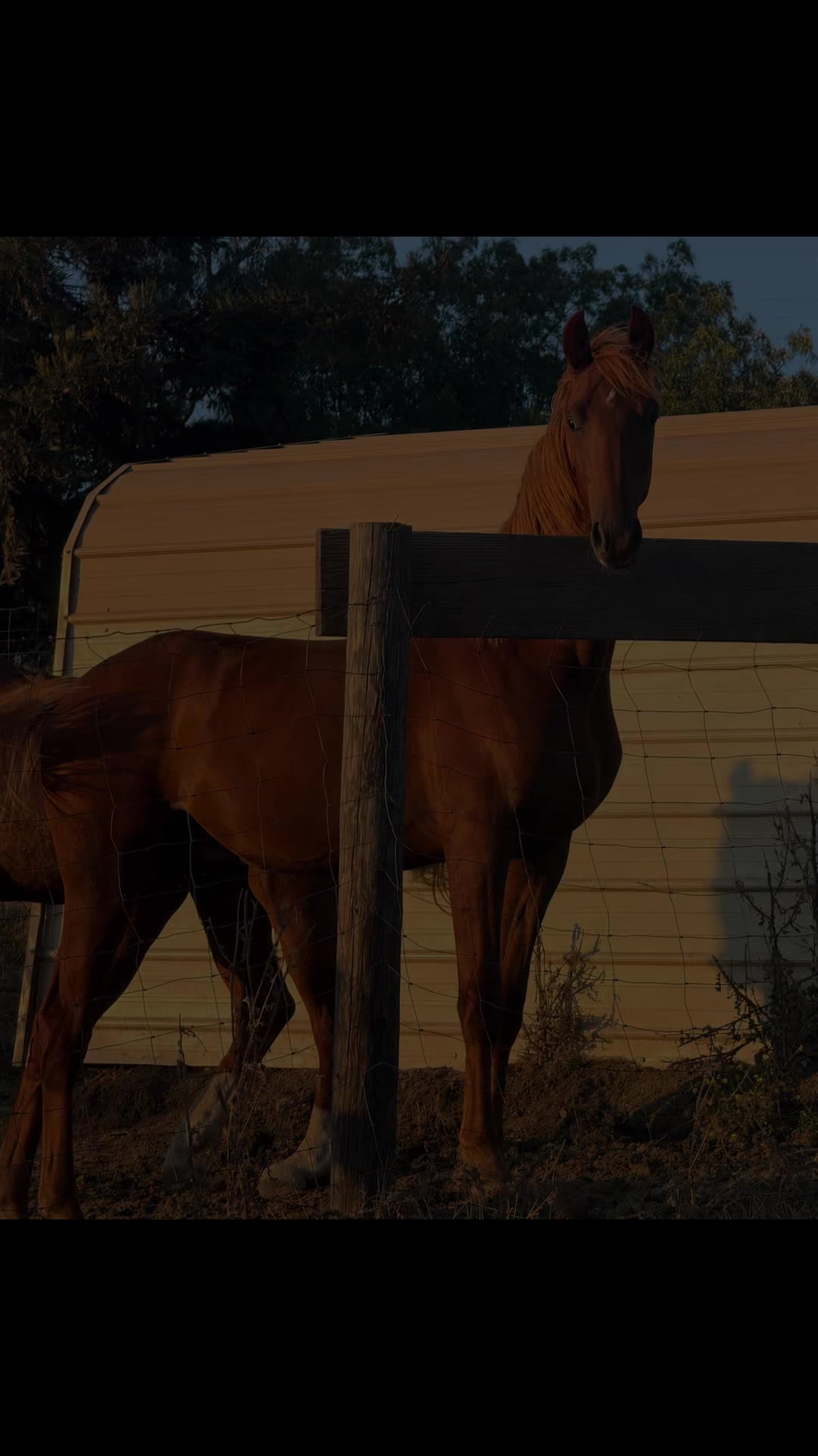 @BoeRanch14