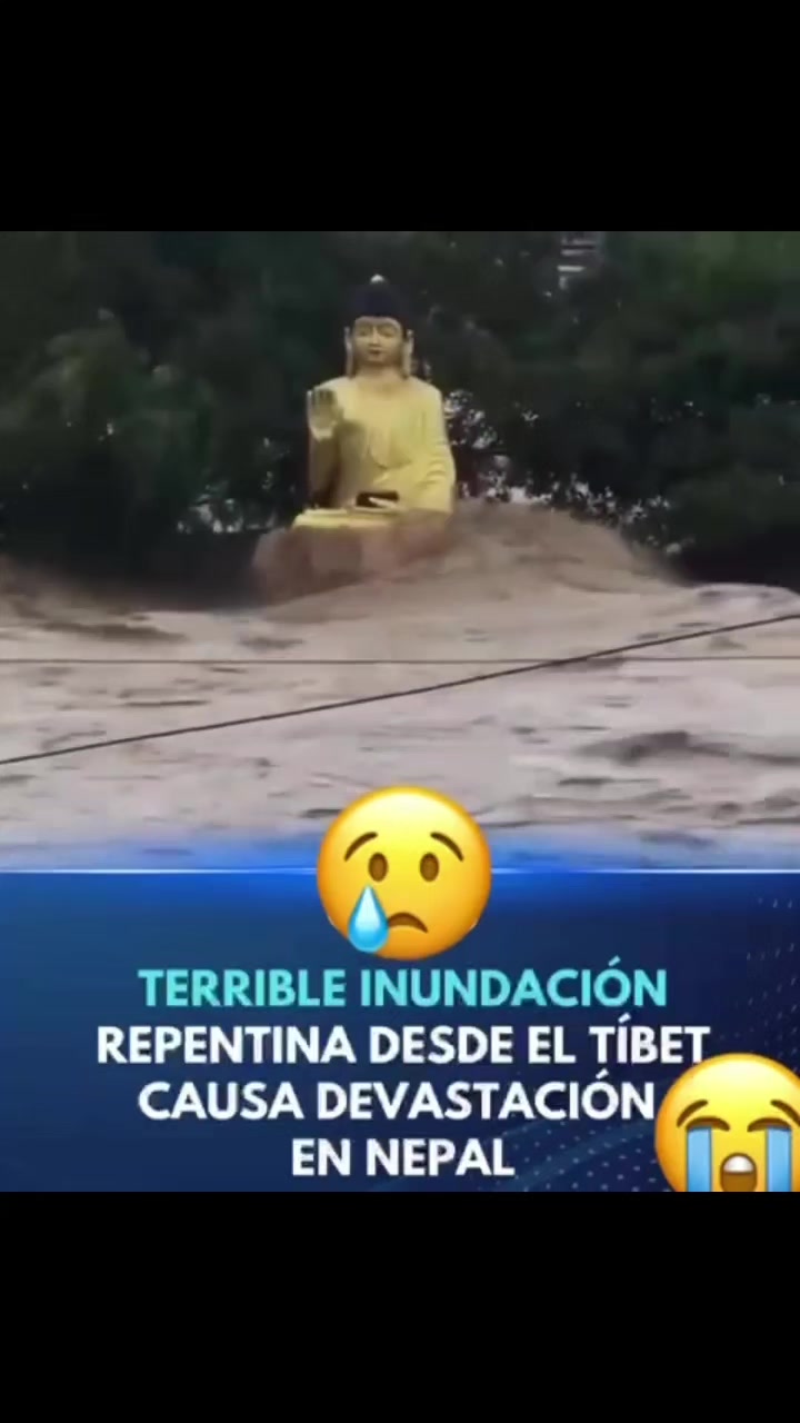 @Harlanzito tv