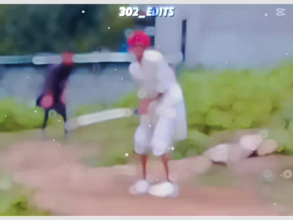 @cricket lover