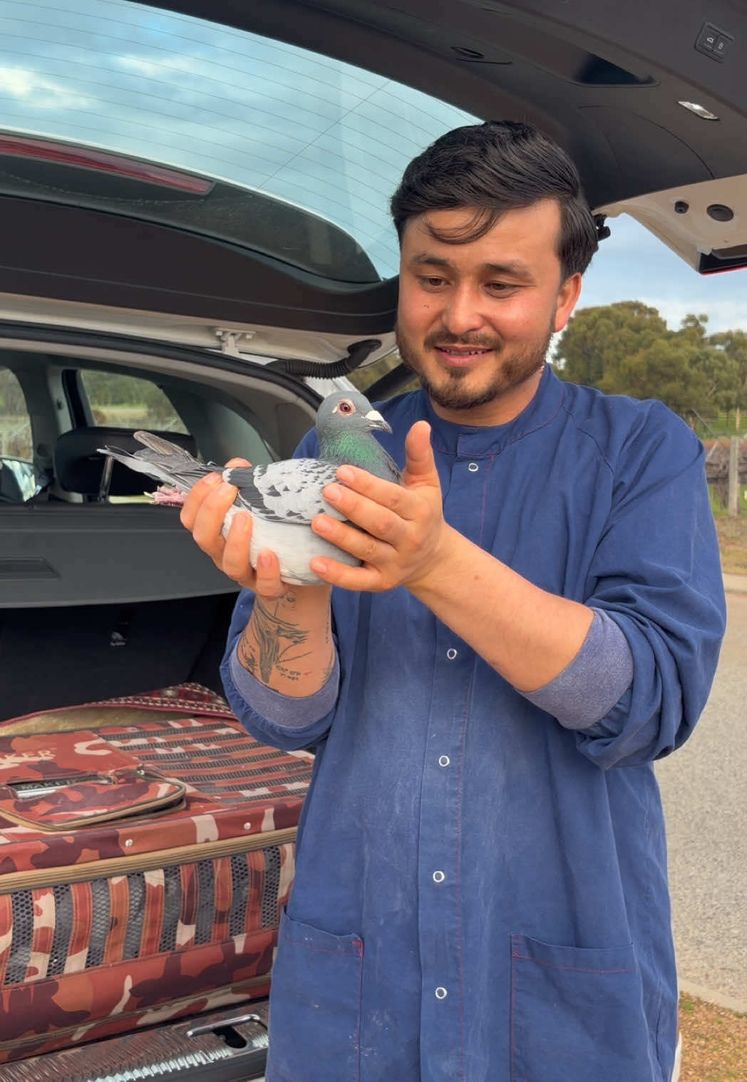 @pigeon.papii
