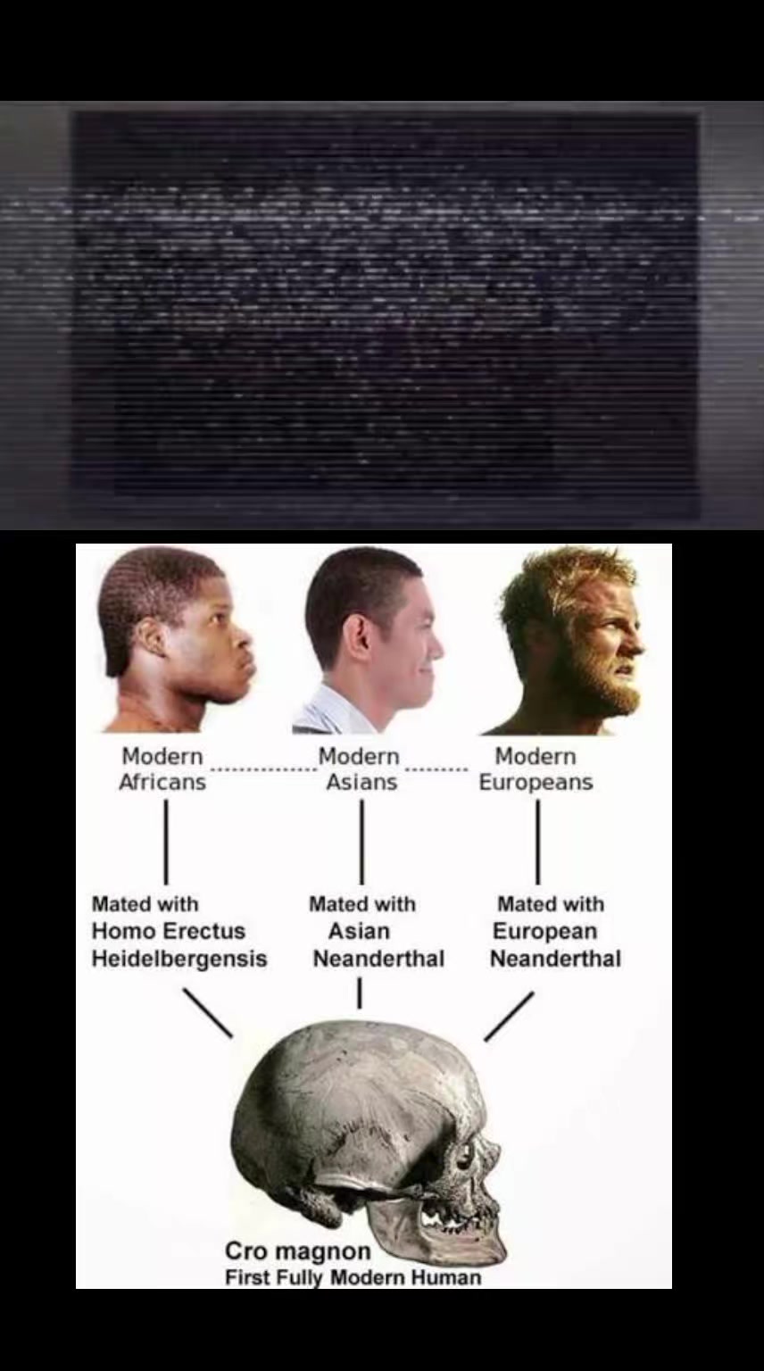 @RaceRealism