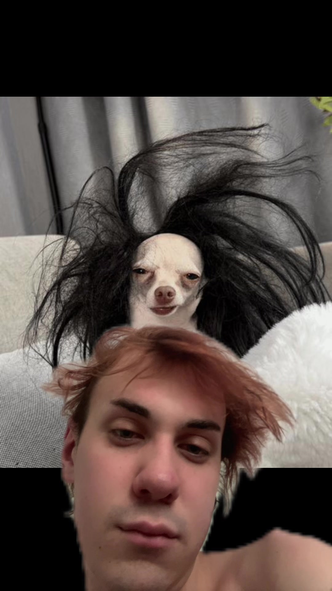 @jakoby fawn