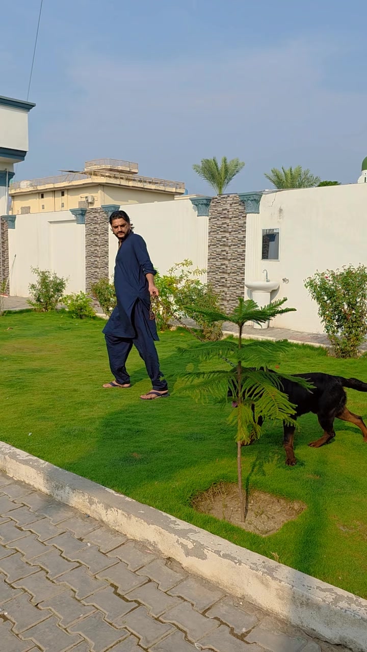@jazib.warraich50