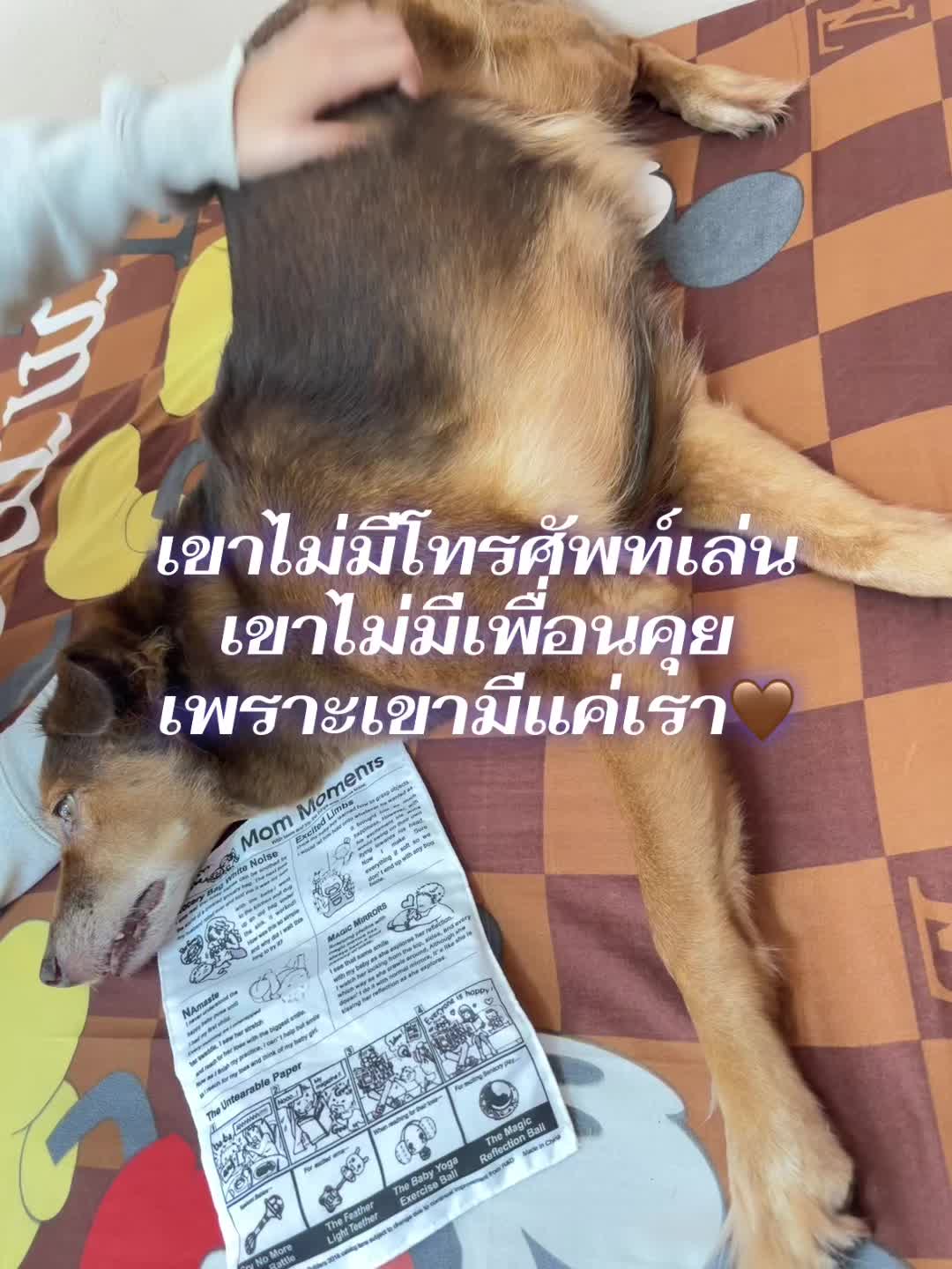@ป๊อป’อายยย(118K)