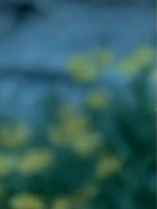 @νιяα.мυѕιᴄᥫ᭡