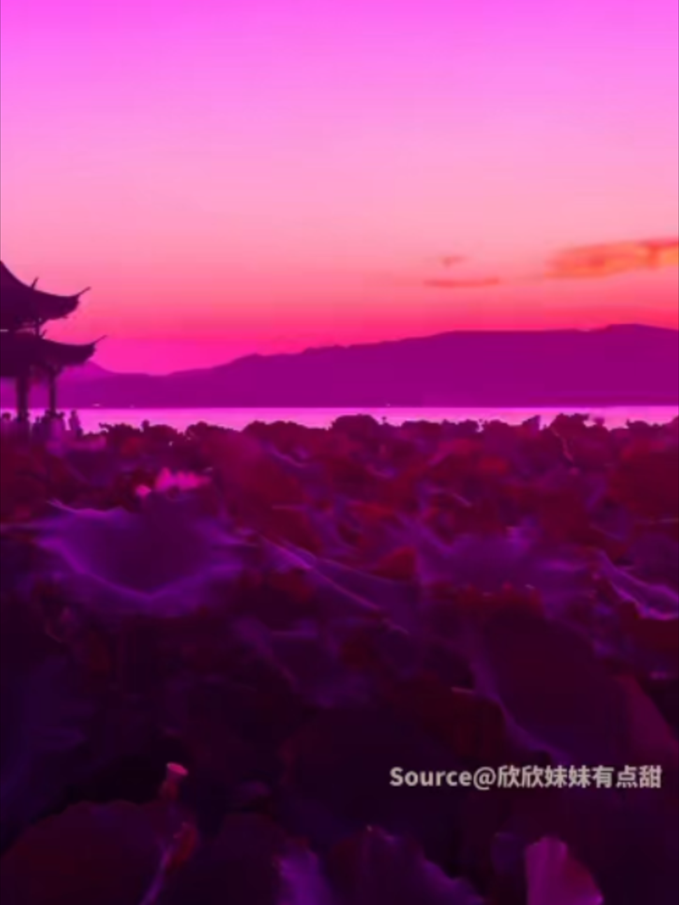 @TrendZ_CN